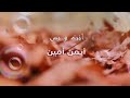 وتضل سرا بين الورق وقلبي يقرئونك سطرا ونت بداخلي روايه M mp3