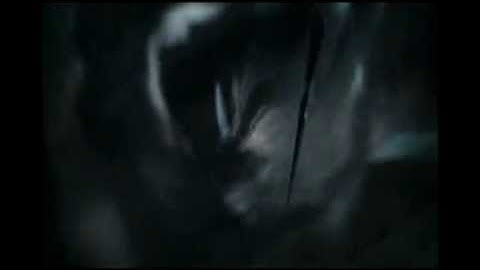 Harry Potter: Apparate - Disapparate : Apparition - Disapparation