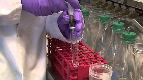 PuriTox Deoxynivalenol (DON) Column