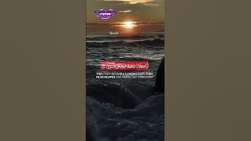 #qurankareem #peaceful #اكسبلور #تلاوة_خاشعة #راحة_نفسية #طمأنينة_القرآن