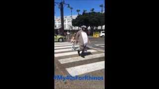 Newmark #My40sforRhinos Dance