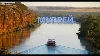 Муррей - самая длинная река в Австралии