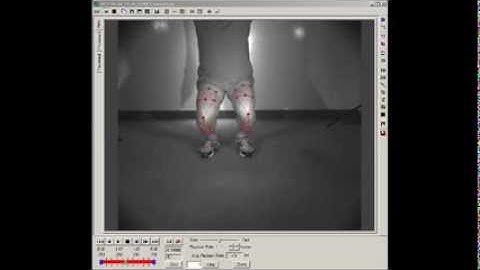 Kinesiologists use ProAnalyst to study human biomechanics