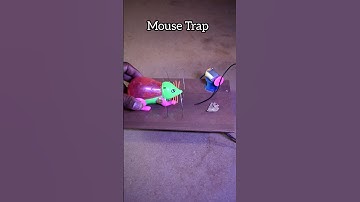 Mouse Trap, Viral Video #shorts #trending #science #technology #experiment