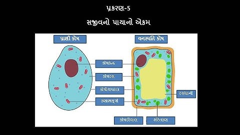 GSEB || Standard-9 || chapter-5 || સજીવનો પાયાનો એકમ || PART-1