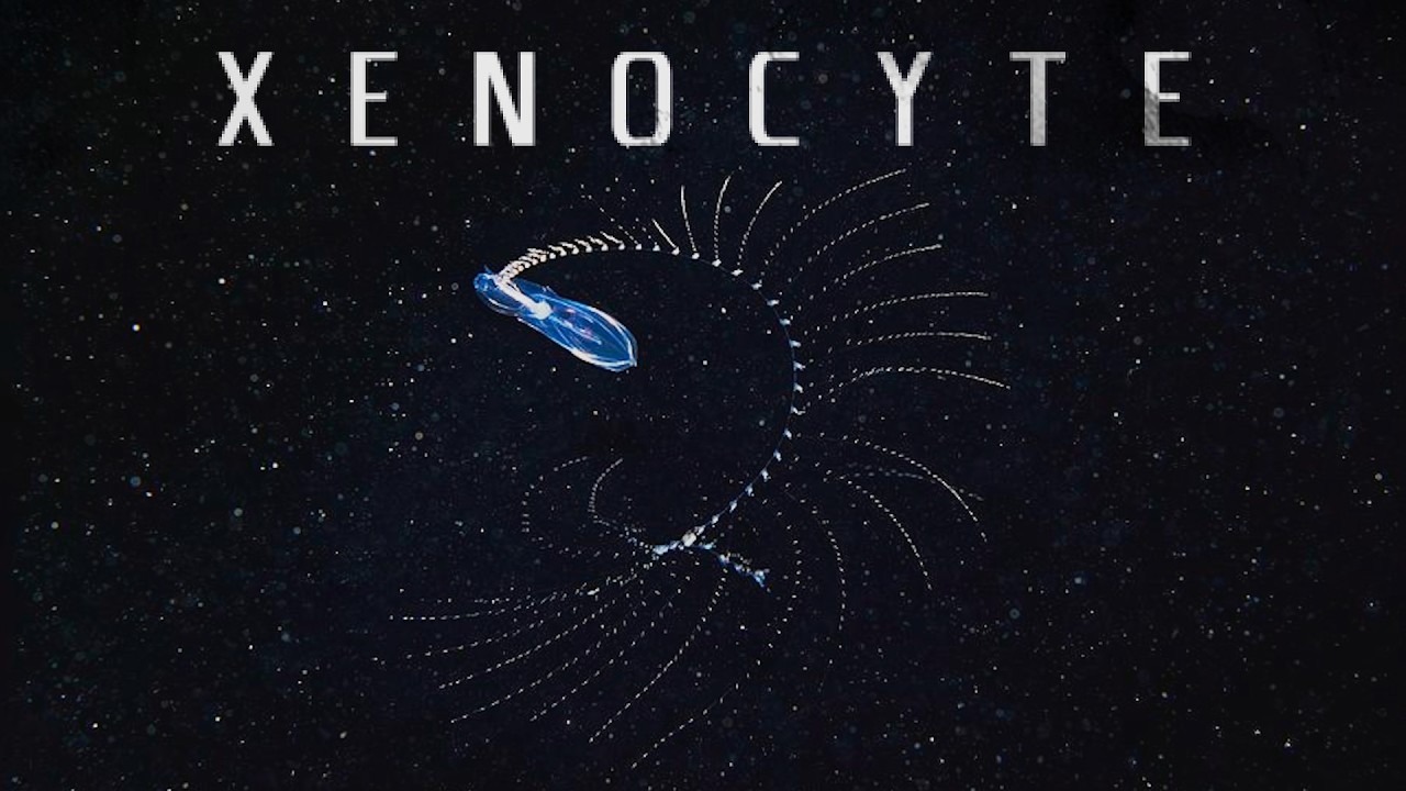 Watch Xenocyte OST - 9mm Parabellum (Minimal Mix) on YouTube Watch Xenocyte OST - 9mm Parabellum (Minimal Mix) on YouTube