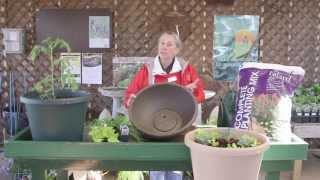 How to Plant Vegetable Container Gardens