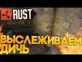 Выслеживаем дичь в RUST NEW (РАСТ выживание) ► (Жизнь бомжа #68)