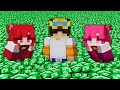 i paid girls to play minecraft with me...