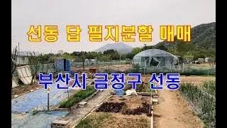 매물번호 25-47번.농장,텃밭,분할매매. 부산시 금정구 선동051)555-3156 .                        &quot;