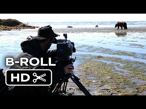 Bears B-ROLL - Katmai (2014) - Disneynature Documentary HD