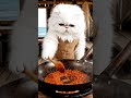 A Persian Cat is Cooking Thai Green Curry