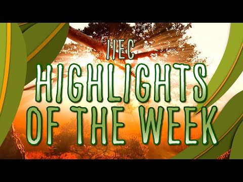 IIEC - Highlights of the Wekk