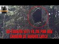 Un norme yeti filme par une camera de surveillance