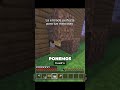 La entrada perfecta para tus mascotas... final inesperado 😨⚡️ #minecraft #humor #minecraftmemes