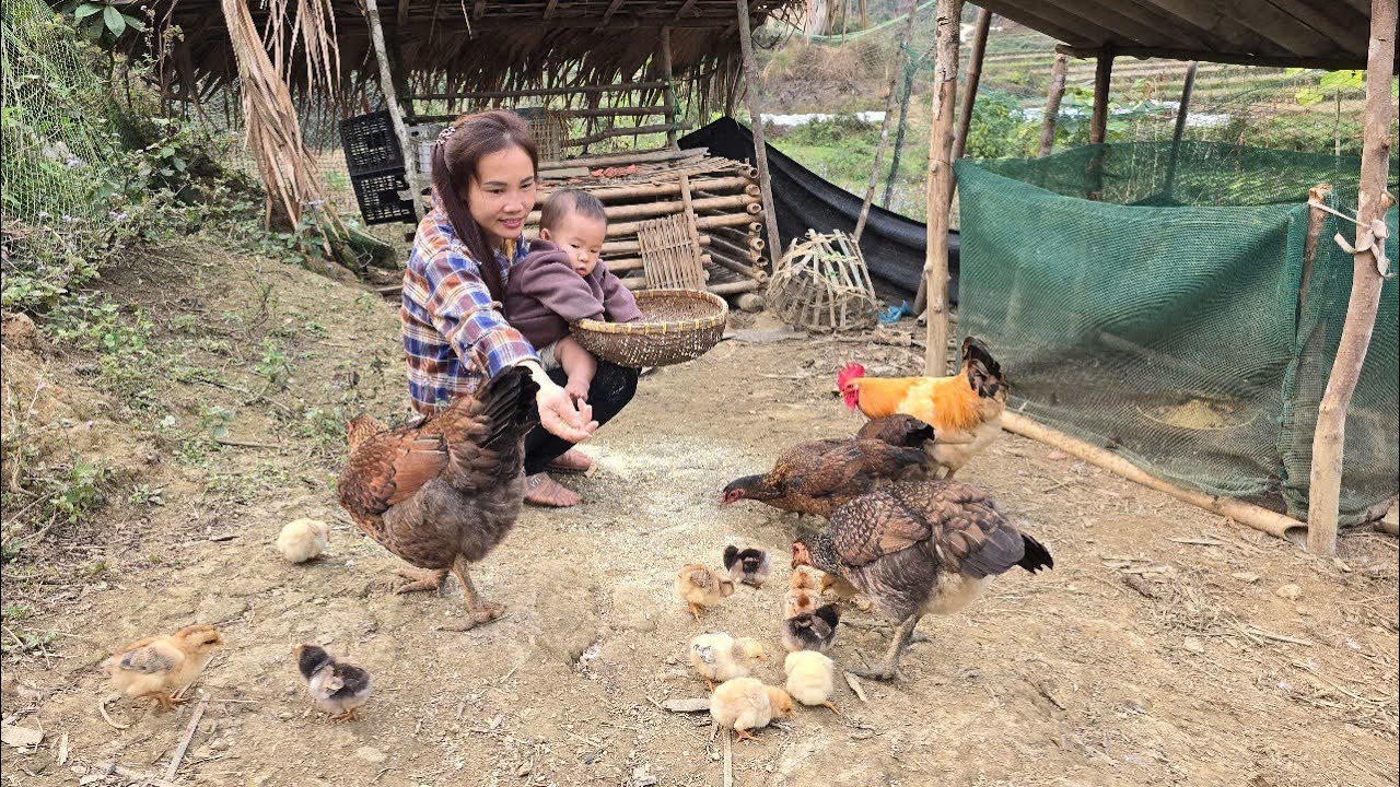 Single mother harvests wild vegetables to sell. Takes care of son ...