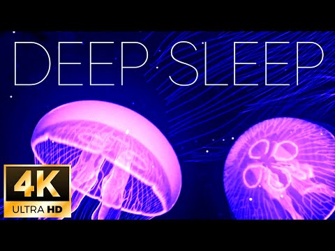 🎧 Stunning Jellyfish Aquarium Relax & Meditation Relaxing Piano Music 4K Video Ultra HD Screensaver