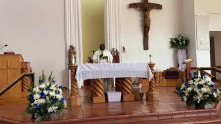 The solemnity of the most holy trinity