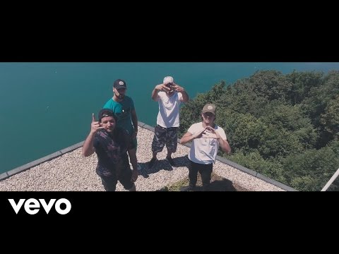 $-Crew - Félins