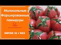 ФАРШИРОВАННЫЕ малосольные помидоры с зеленью и чесноком / Рецепт быстрого приготовления