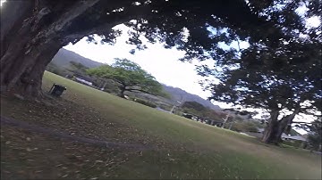 Superview Script Test