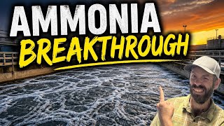 When Nitrification Fails: Fixing Ammonia Breakthrough in Activated Sludge