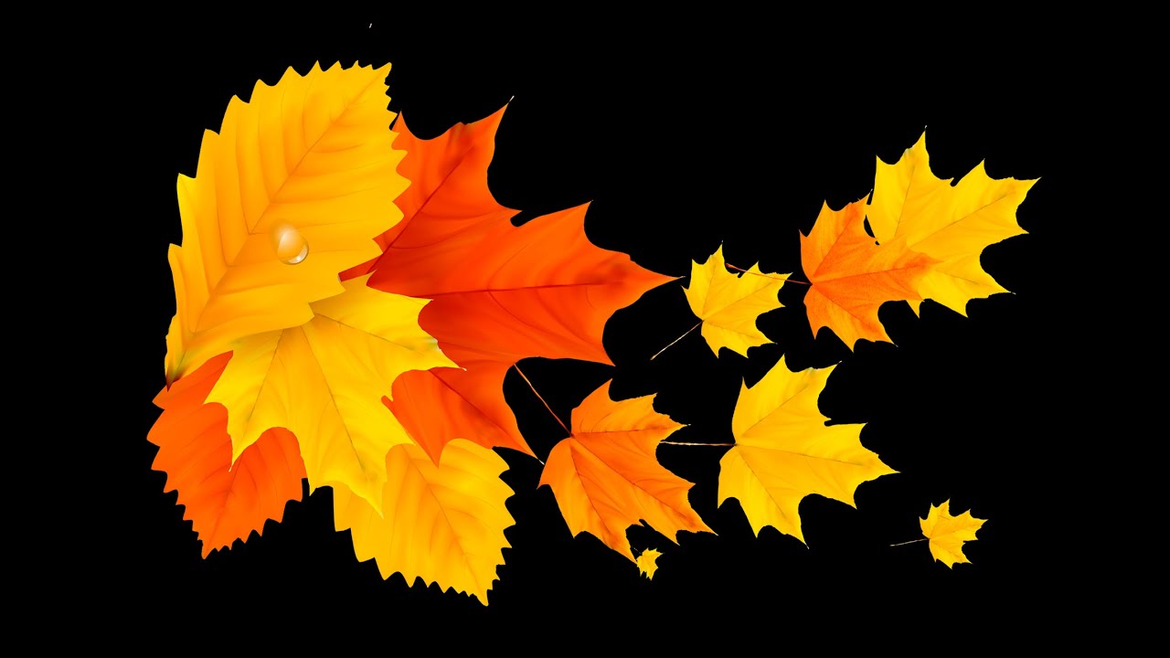 Листья желтые по краям. Осень раскрасавица. Желтый лист а4. Листочки жёлтые большие для детей. Осень раскрасавица картинки.