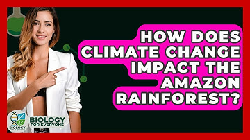 How Does Climate Change Impact The Amazon Rainforest? - Biology For Everyone