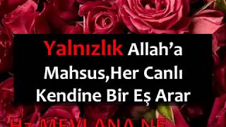 Yalnızlık Allah’a Mahsus,Her Canlı Kendine Bir Eş Arar Resimi
