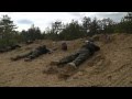 Arctic Lightning 2014 - OPFOR Training