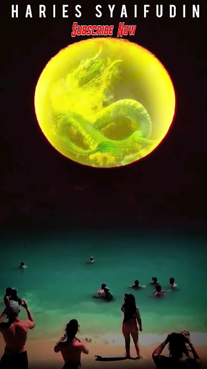 DRAGON IN THE SUN - SHORTS
