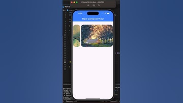 New Carousel View in Flutter Release 3.24 💙