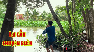 Câu Cá Tra Sông - Bãi Mới Cá Ục Nhiều Và Thánh Nhọ Đóng Cá | Fishing - Miền Tây
