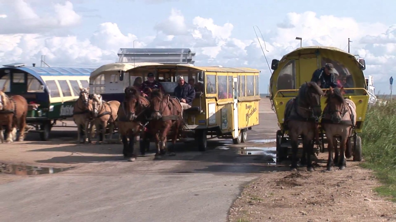 Hallig Hooge  -meinerseits-