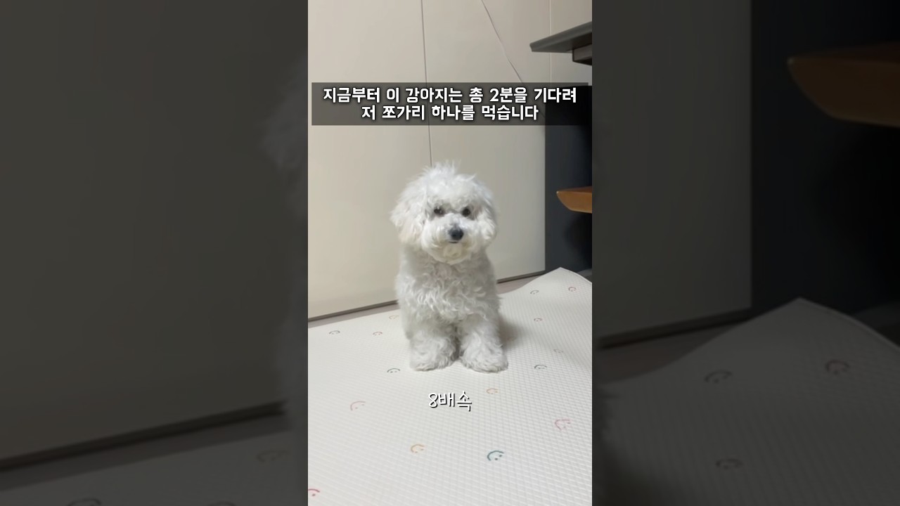 기다려 천재 고창석.  Wait for It, Genius Go Chang-seok