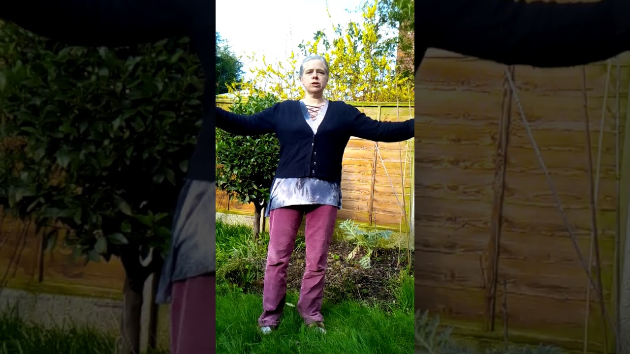 Shiatsu with Hannah Mackay - Heart Protector Meridian (self-care)