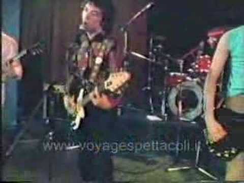 The Buzzcoks - Ever fallen in love - The Buzzcoks - Voyage Spettacoli Italia di Marco Tacchini