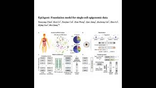 203-EpiAgent: Foundation Model for Single-Cell Epigenomics