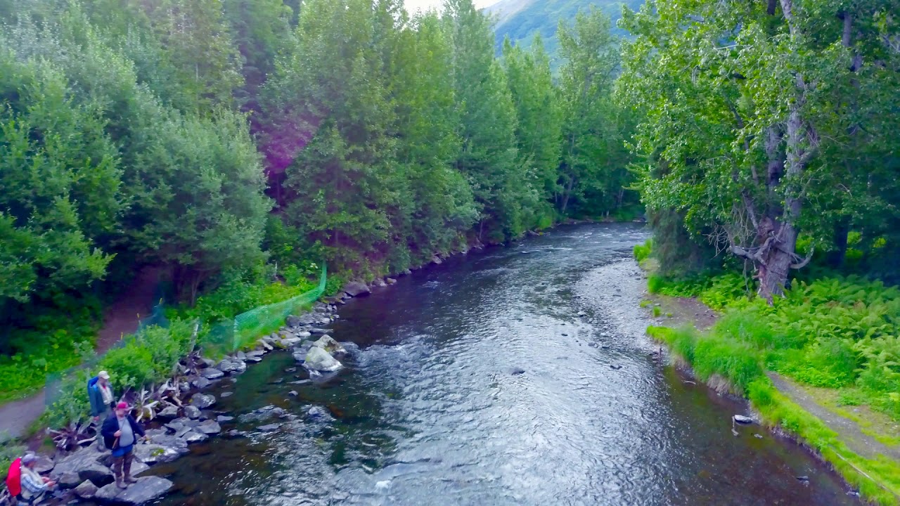 Russian River Campground, Alaska YouTube