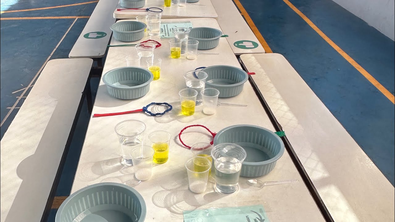 RAQUETE de BOLHAS DE SABÃO 🫧 | DIY Fácil com Material Reciclável | Diversão Garantida