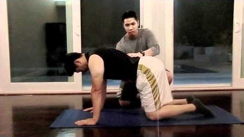 Core Stability: Quadruped Hip Extension