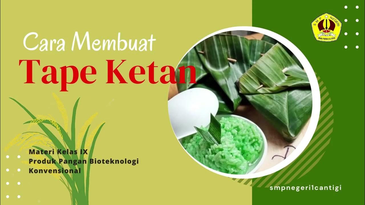 SMPN 1 Cantigi Cara Membuat Tape Singkong dan Tape Ketan YouTube