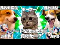 ガチ勢がチーターに勝ってしまうラブライブのソシャゲ【猫ミーム】 #猫マニ #猫ミーム