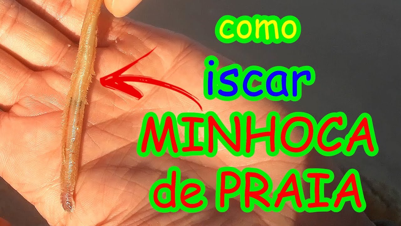 como ISCAR MINHOCA DE PRAIA - as PAPA-TERRAS não resistem