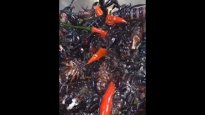 Fried scorpion in China #food #scorpion #chilli #eggs #china #chinesefood #oil