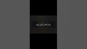 تلاوة عذبه من الشيخ بدر التركي #قرآن #تلاوة_خاشعة #المصحف