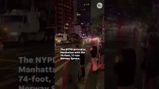 Rockefeller Christmas tree gets police escort to New York City #Shorts