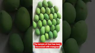 Mango 🥭 se saja mandir#trending# ytshort# short video # flute music # himalayan music # short feed#
