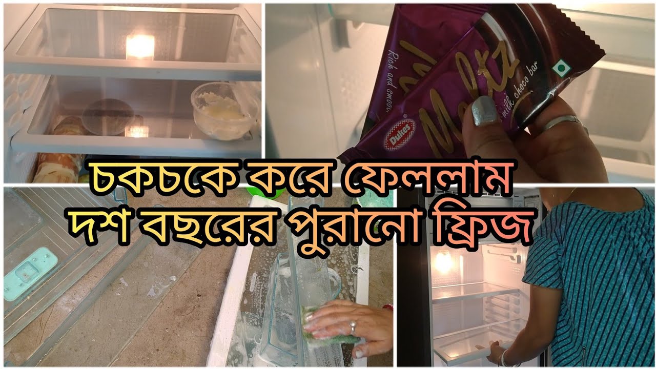 আমি কিভাবে ফ্রিজ পরিষ্কার করি।।Deep clean A fridge & freezer।। Bengali