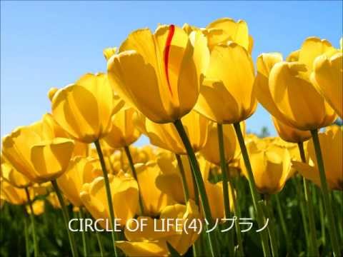 ライオンキングメドレー音源 ソプラノ4